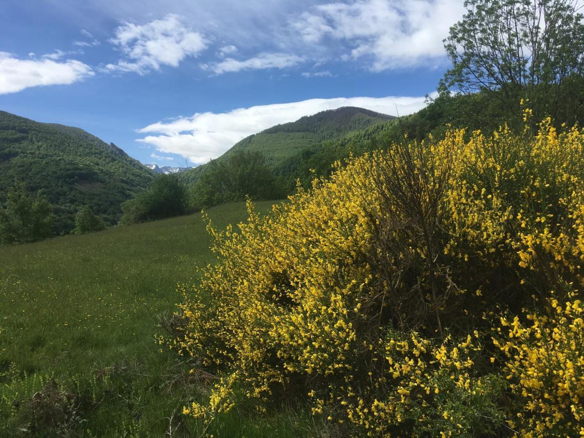 Les songes du chêne Augirein Exterior foto