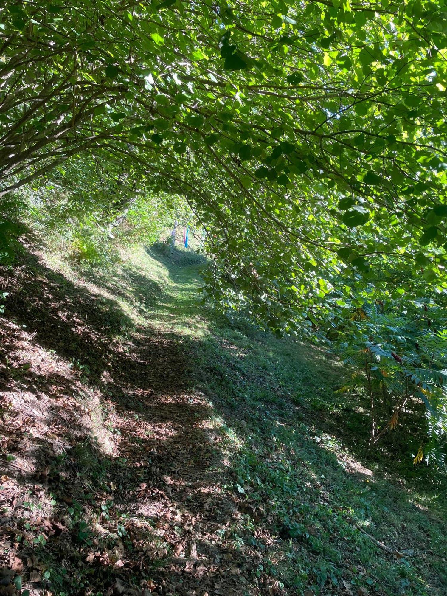 Les songes du chêne Augirein Exterior foto